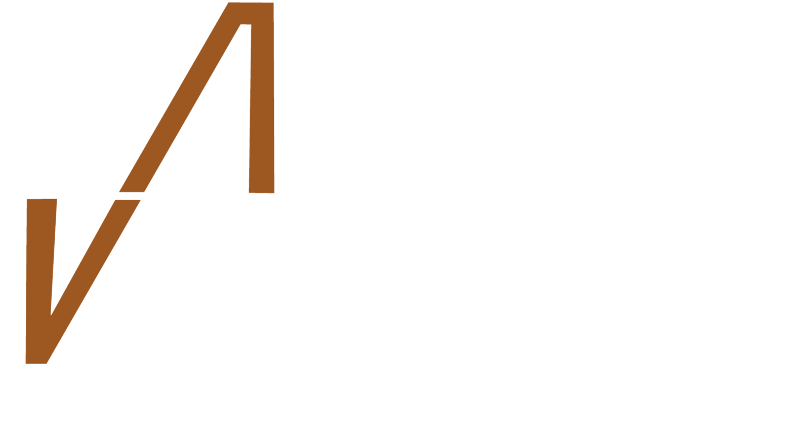 Vertex logo for JOB website